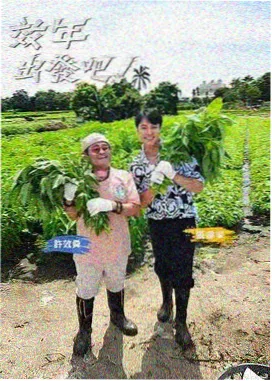爱看视频美食真人秀深夜食谈剧照